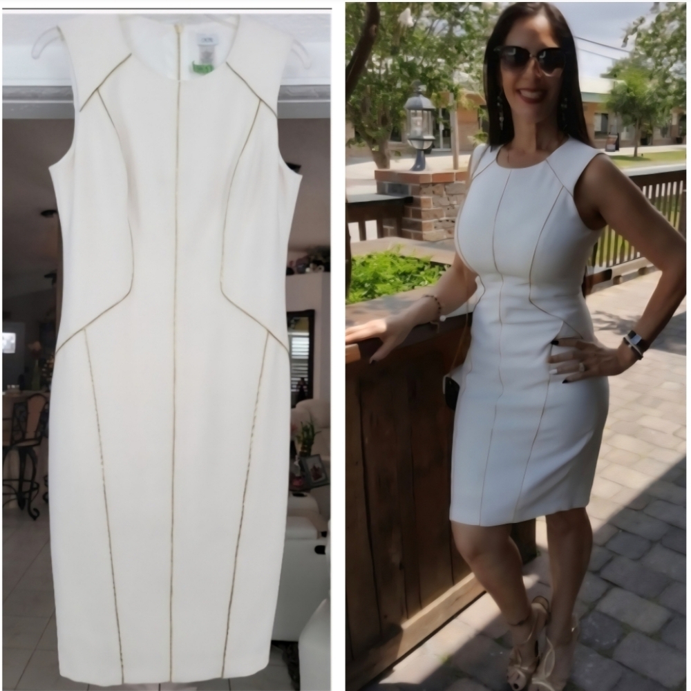 Cache Elegant Off-White Women's Dress with Gold Zippers, Back Zipper Slit,Size 6